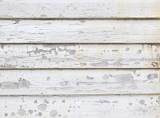 Best Same-Day Junk Removal Services  in Bothell West, WA
